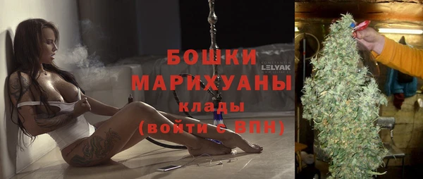 прущие грибы Карталы