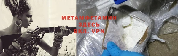 прущие грибы Касимов
