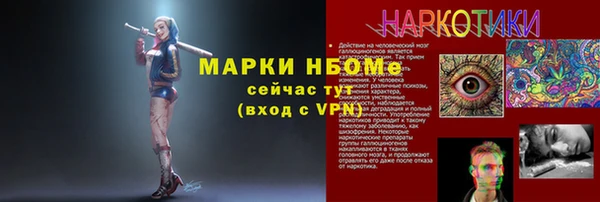прущие грибы Касимов