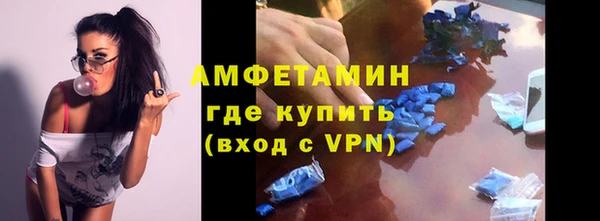 прущие грибы Карталы