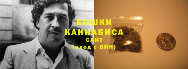 прущие грибы Касимов
