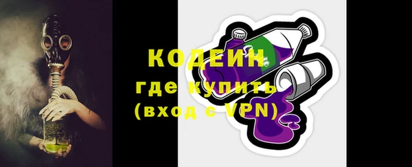 прущие грибы Касимов
