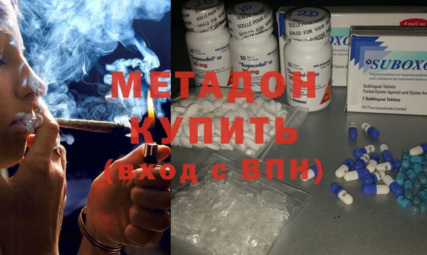 прущие грибы Карталы