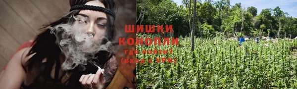 прущие грибы Касимов