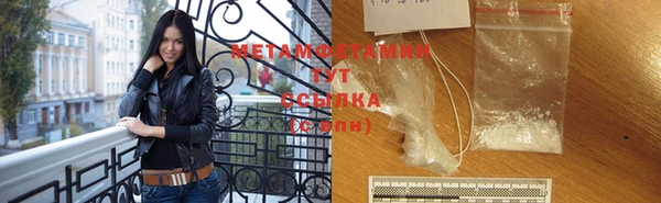 прущие грибы Касимов