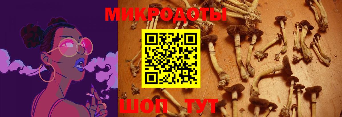 Псилоцибиновые грибы GOLDEN TEACHER Менделеевск